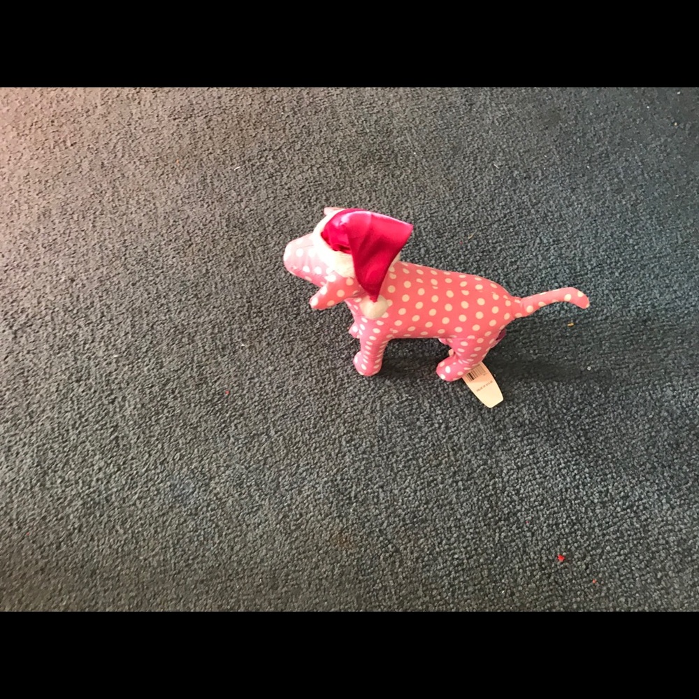 Pink vs dog